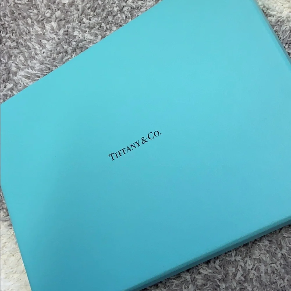 Brand New in Box Authentic Tiffany & Co 2011 Planner